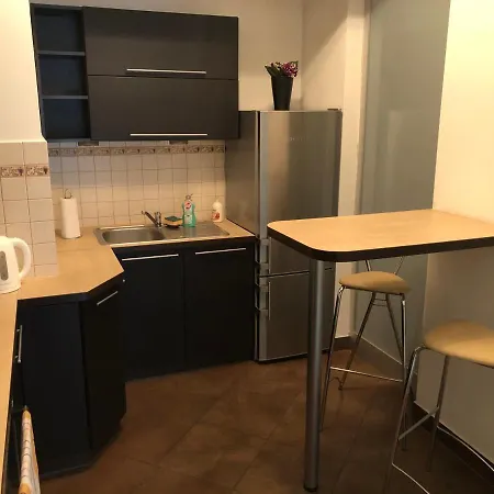 Wawel Modern Luxury Διαμέρισμα Krasków